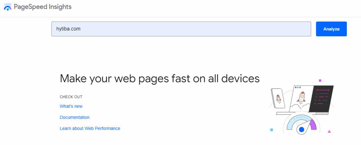 PageSpeed Insights website