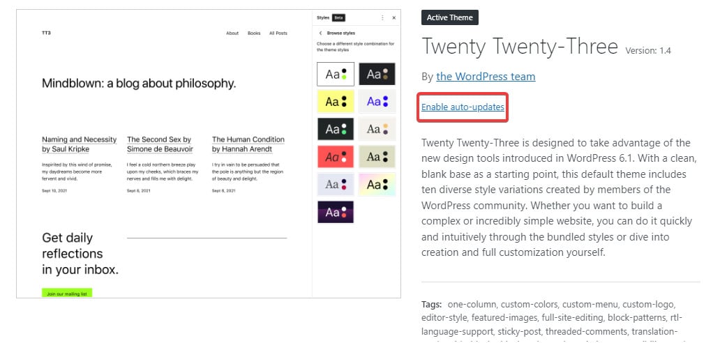 WordPress theme enable auto-update